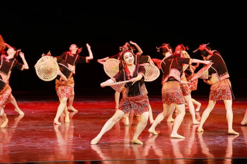 從山野到舞臺(tái) 白沙舞的“出圈”之路與民族文化傳播新思考